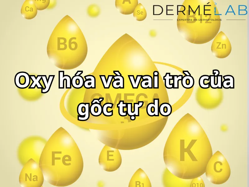 Hiểu đúng về oxy hóa và vai trò của gốc tự do