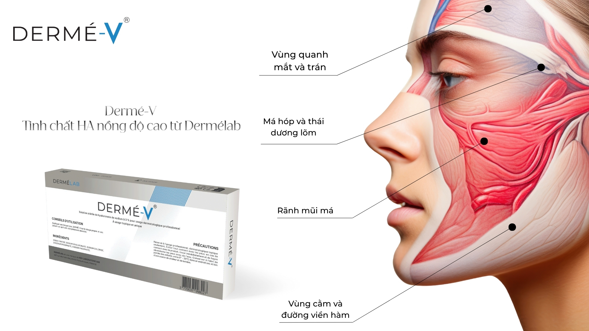 Dermé-V – Tinh chất HA nồng độ cao từ Dermélab (Pháp)