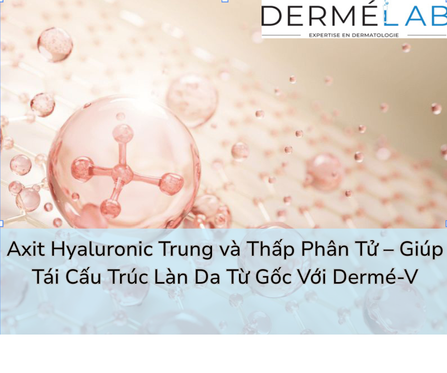 Axit Hyaluronic Trung và Thấp Phân Tử Là Gì?
