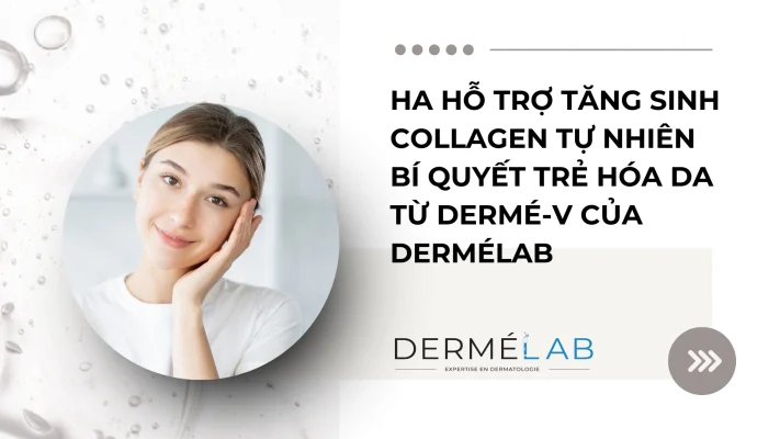 HA hỗ trợ tăng sinh collagen tự nhiên