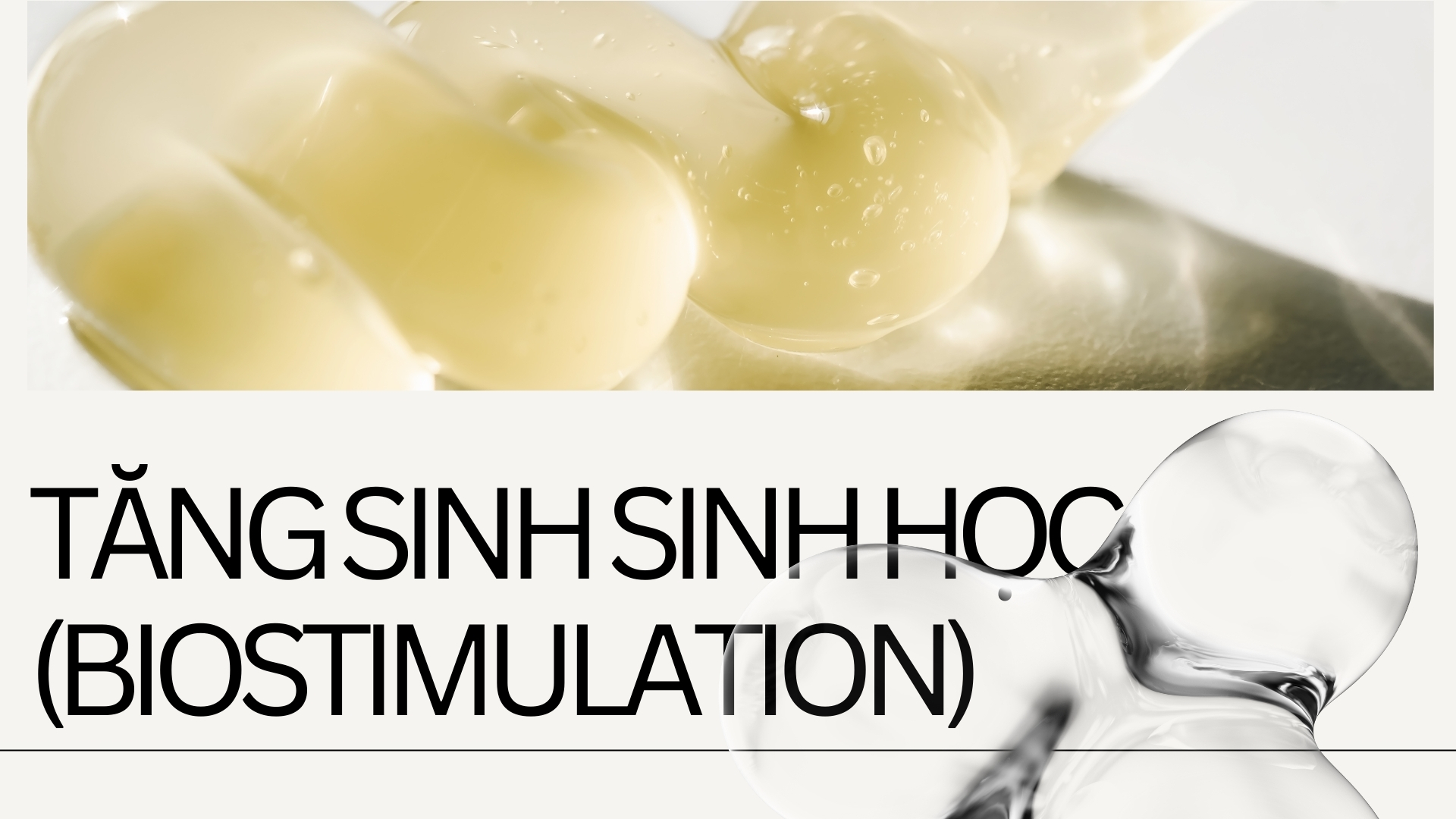 Tăng sinh sinh học