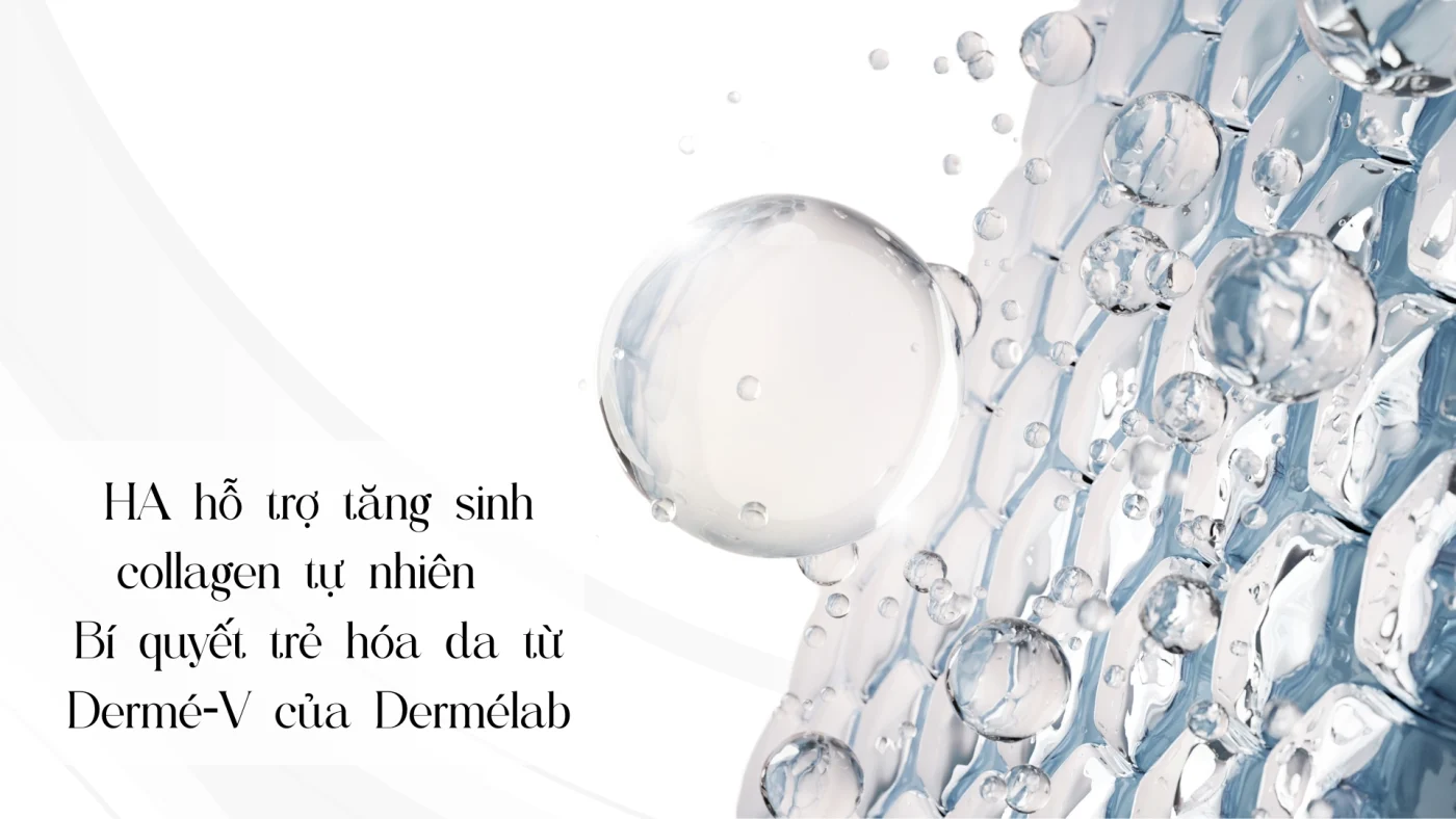 HA hỗ trợ tăng sinh collagen tự nhiên